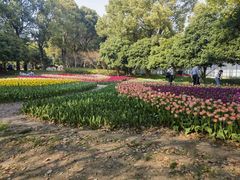 -上海鲜花港