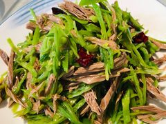 荷兰豆拌黑腐竹-小谭川菜(紫薇田园店)