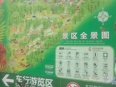 -海南热带野生动植物园