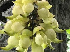 -华南国家植物园-售票处