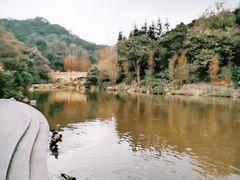 -云溪植物园