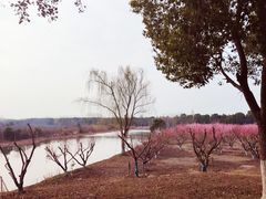 -南湖湿地公园