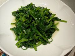 清炒豌豆尖-悦融琥珀·京鲁菜·海味珍品(西单店)