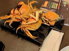 -大连星海皇冠假日酒店