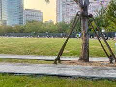 -上海体育场