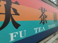 -茯茶镇