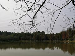 -松山湖南湖湾露营营地