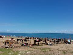 -青海湖国家重点风景名胜区