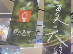 -野人先生Gelato(上海长宁龙之梦店)