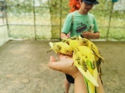 -萌宠亲子动物乐园(槐房万达店)