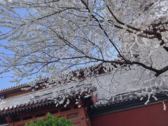 -雍和宫(地铁站)