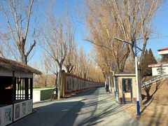 -青龙湖公园