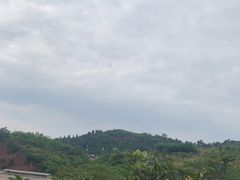 -桃源山庄·烤全羊·柴火鸡·烧烤团建(龙泉山店)