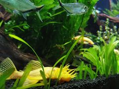 -上海海洋水族馆