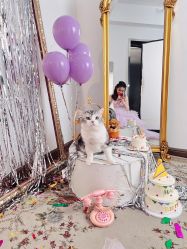 -米莱摄影写真(五大道别墅店)