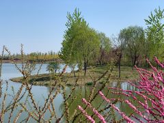 -东郊湿地公园