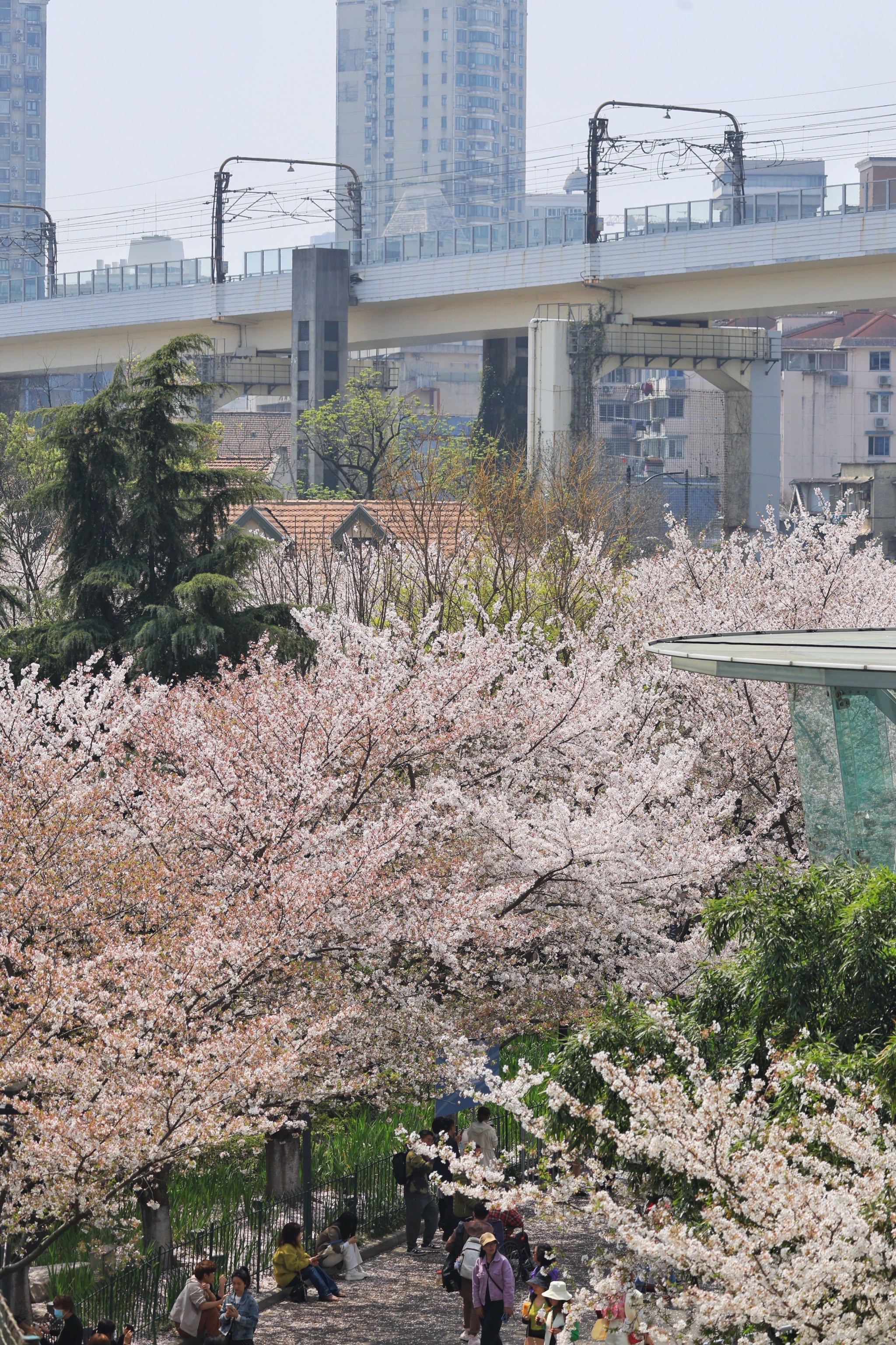 上海虹口道场图片