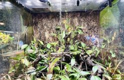 -酷嗒动物文化乐园(cutezoo西溪乐天城店)