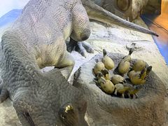 -国家自然博物馆