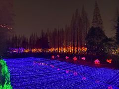 -金沙遗址博物馆