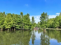 -尚湖风景区