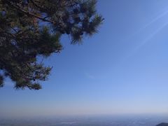 -CoCo都可(搜秀城店)