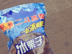 -二斗栗子(黄河道店)