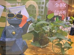 -全欧语言留学考试(德法西意俄南京总部校区)