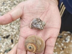 -兴城海滨风景区