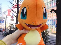 -秋叶原电器街