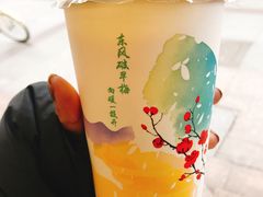 红茶玛奇朵-1点点(温州府前店)