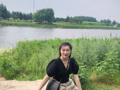 -蒲河岛湿地公园