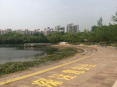 -新江湾城公园