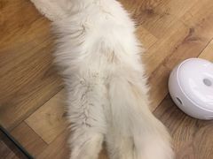 -袖虎·猫馆(体育西路店)