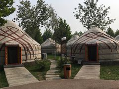 -九十九顶毡房(阜石路店)