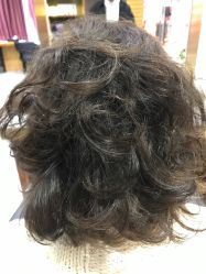 -HairCode芭曲发型