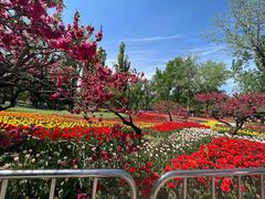 -国家植物园南园