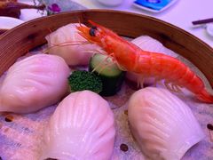 和苑招牌虾饺-和苑·精致粤菜(珠江新城店)