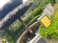 -大连金石滩绿发温泉假日酒店