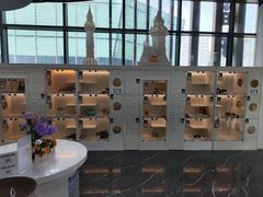 -小猫来了·猫咪专售(红山六九七九店)