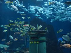 -海合安武汉极地海洋公园