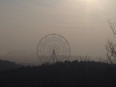-栖巢(华声苑店)