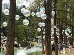 -人民公园(罗湖区)