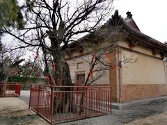 -白台寺
