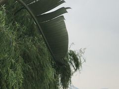 -川里谈·川味小馆(北京路店)