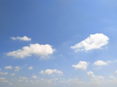 -日照海滨国家森林公园
