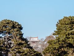 -北陵公园