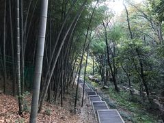 -穹窿山景区