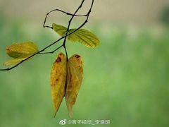 -呀路古热带植物园