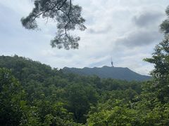 -深圳仙湖植物园